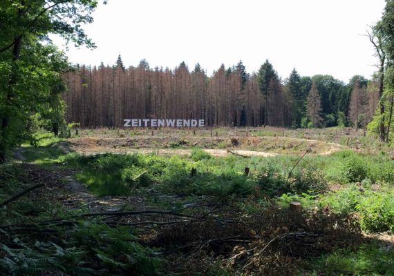 Zeitenwende/Feral – Foto Ausstellung im Wald